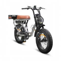 DiroDi Bicycles Gray / Step-Thru / 1000W DiroDi Rover Plus Gen 6